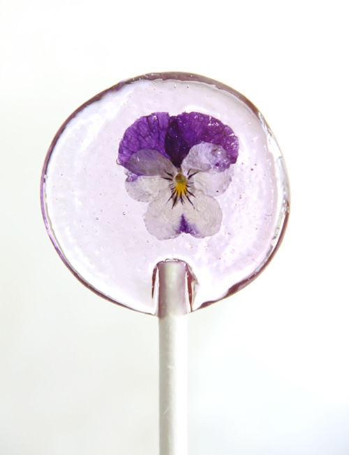 1 sprinklebakes pansy pop