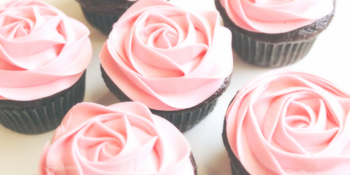 CUPCAKEHEADER