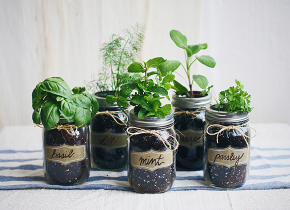 mint glass jars