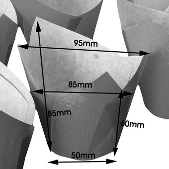 Tulip cupcake cases with measurements in millimeters on a white background