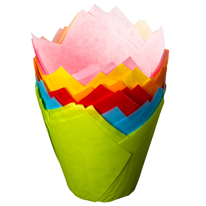 Colorful tulip muffin wraps multi colour on a white background