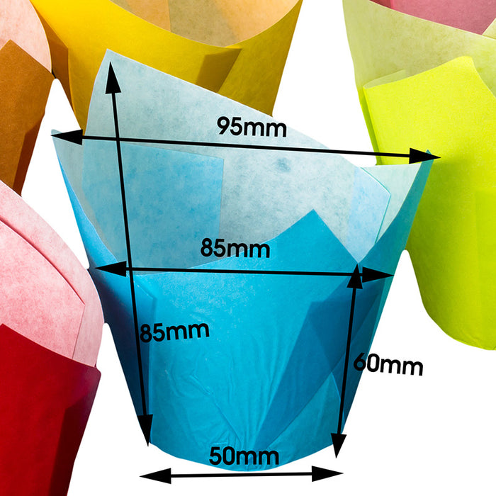 Colorful tulip muffin wraps with measurements on a white background