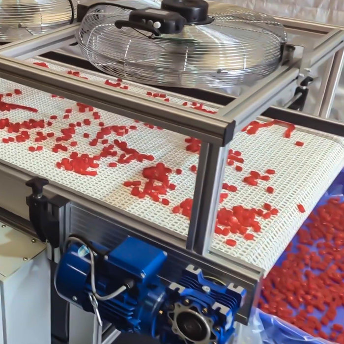Mini Cooling Conveyor for Confectionery Manufacturing – MCC01