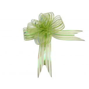 green butterfly bow