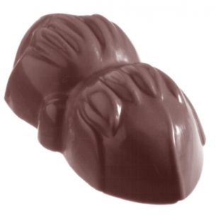 Chocolate Mould Double Hazelnut cw1017