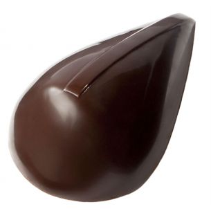Chocolate Mould - David Pasquiet